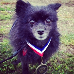Her doggie medal